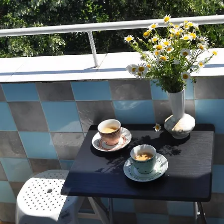 Summer 布尔加斯
